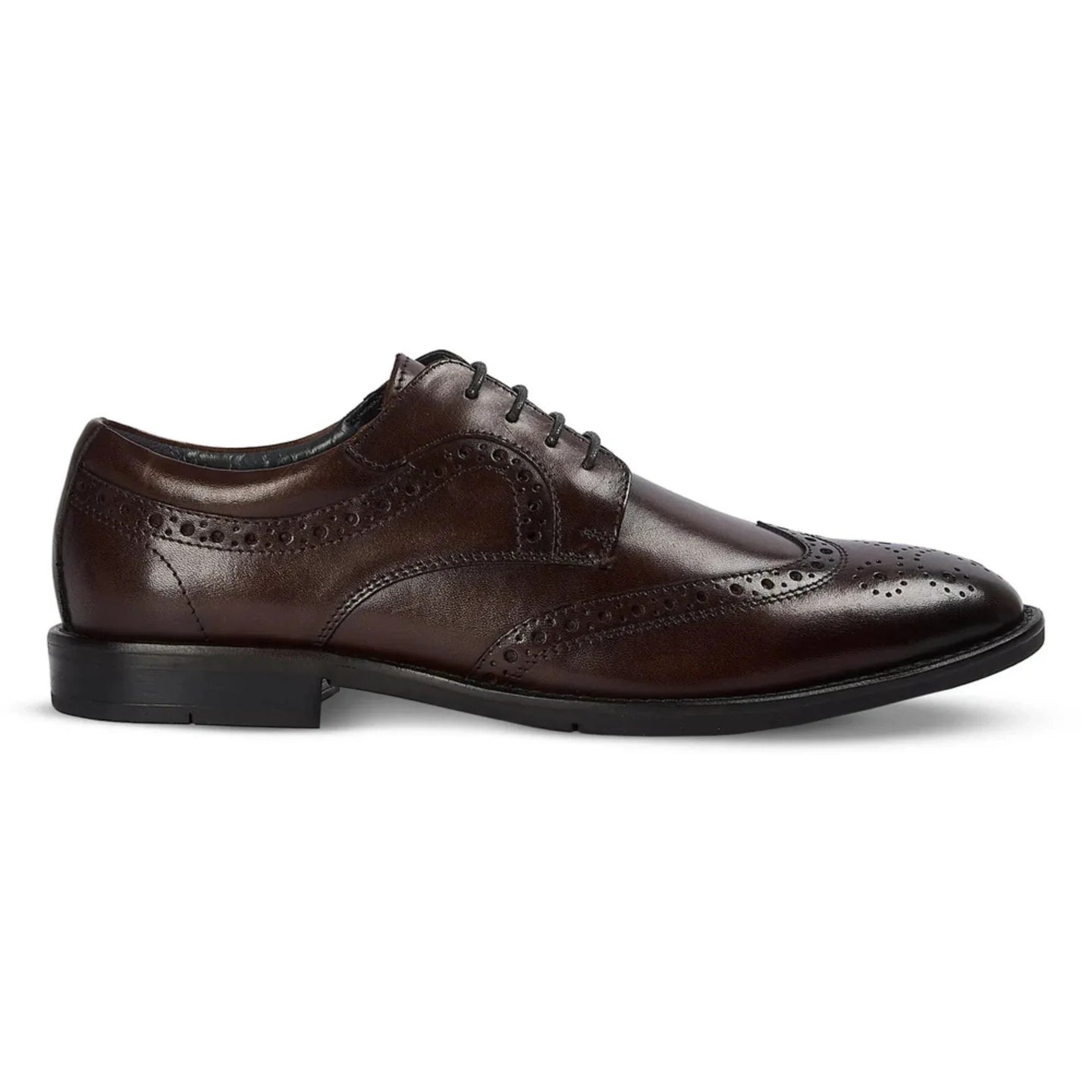 Cambridge - Dunkelbraune Herren-Brogue-Derby-Schuhe mit Flügelkappe